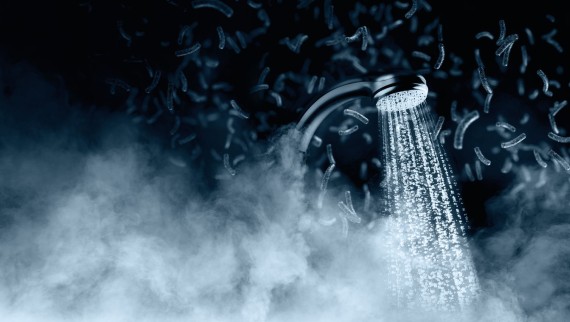Bakterien vermehren sich im Trinkwasser, wenn sie dafür gute Bedingungen vorfinden