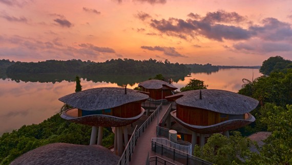 Samenkapsel-Häusern im Mandai Rainforest Resort (© Banyan Tree)