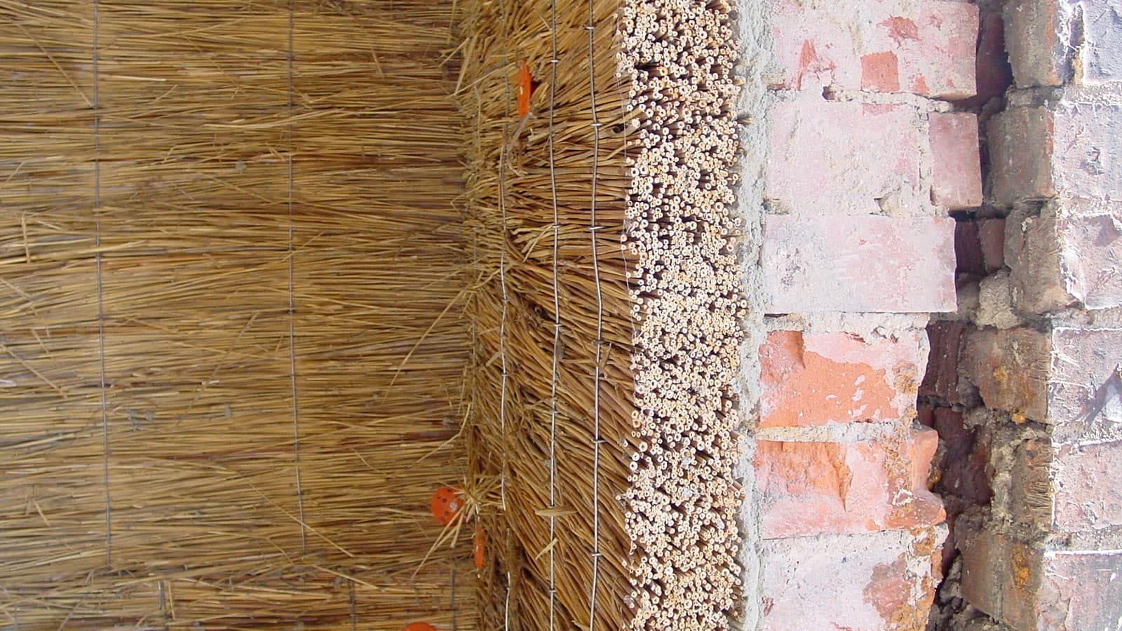 Wand aus Reet Wand aus Reet