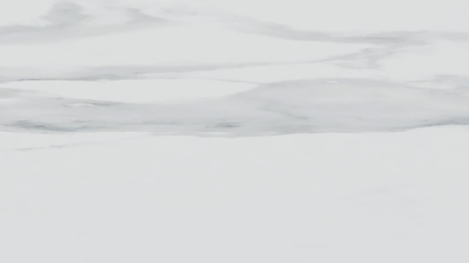 Farbe: Steinzeug in Marmoroptik weiß Farbe: Steinzeug in Marmoroptik weiß